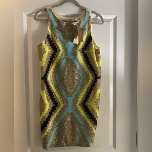 Sequin dress from Francesca’s!